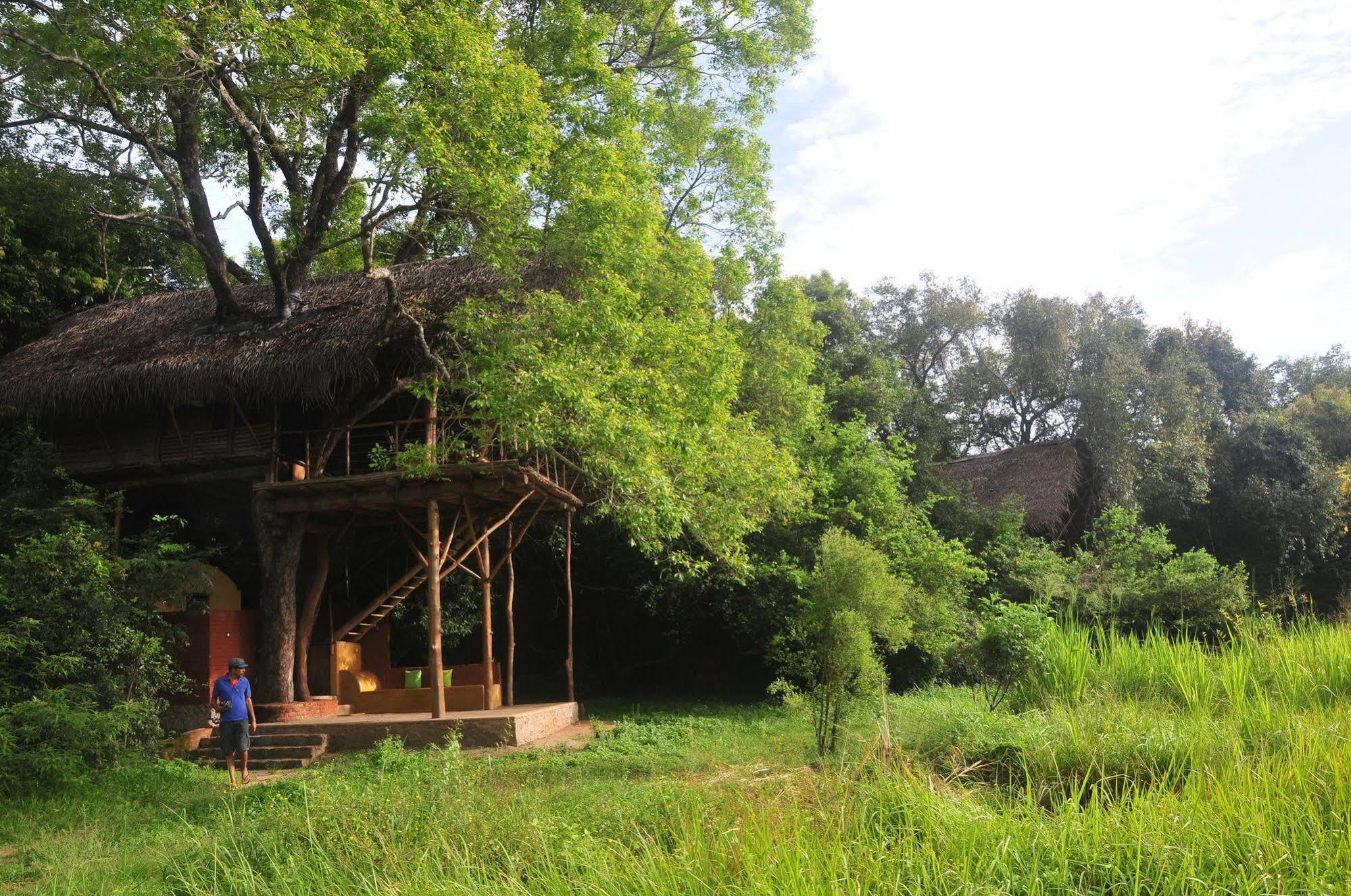 Back Of Beyond - Wild Haven Villa Sigiriya Exterior photo